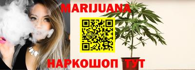 шишки Аргун