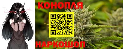 шишки Аргун