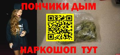 шишки Аргун