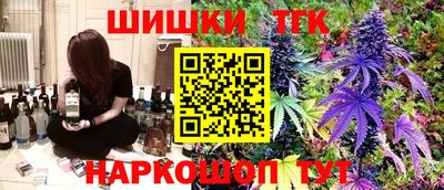 шишки Аргун