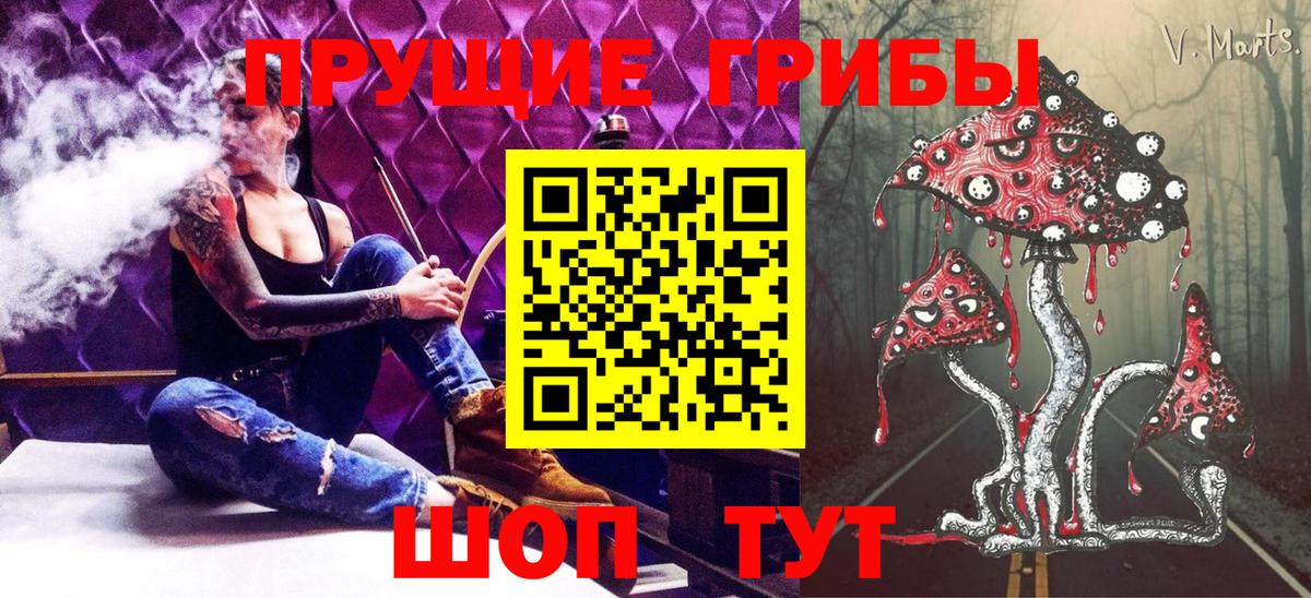 Псилоцибиновые грибы Psilocybine cubensis Будённовск