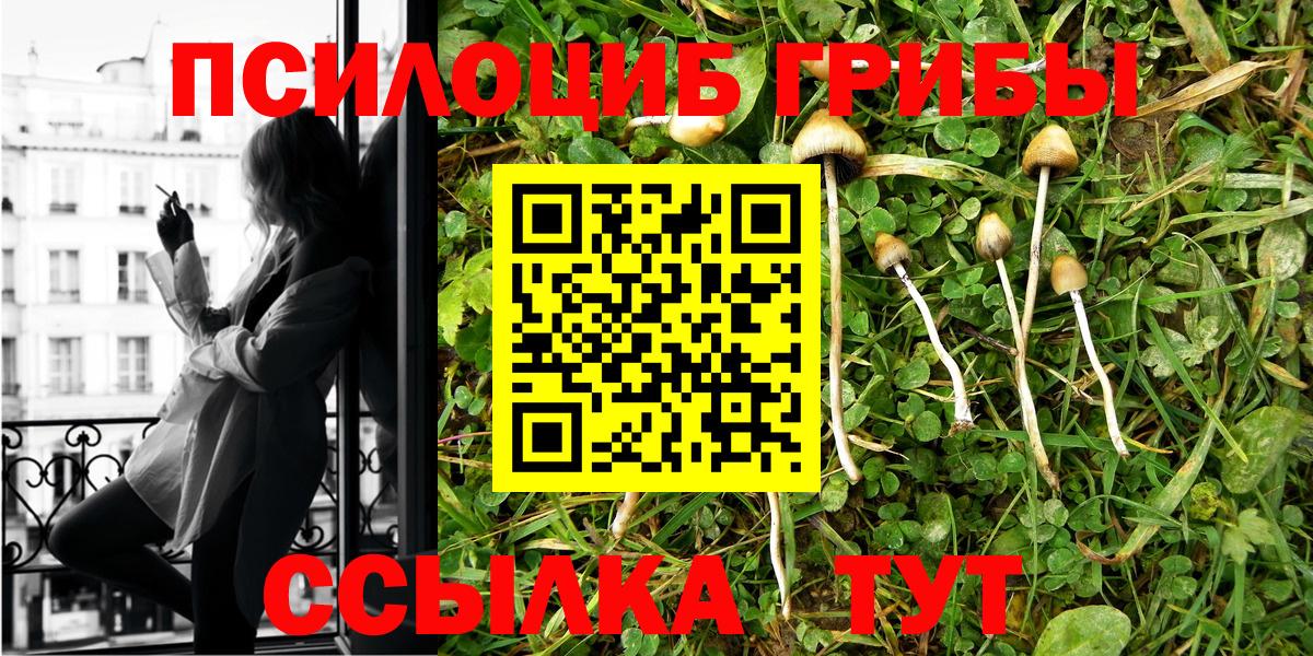 Псилоцибиновые грибы прущие грибы  Вход с VPN  Будённовск 