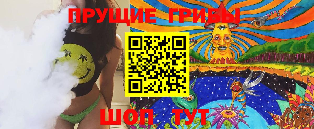 Галлюциногенные грибы GOLDEN TEACHER Будённовск